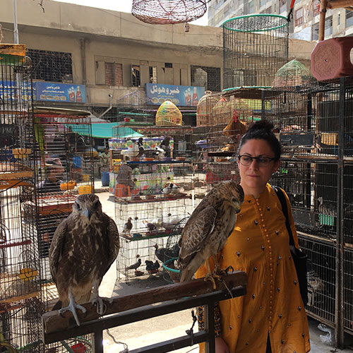 The Falcon of Karachi